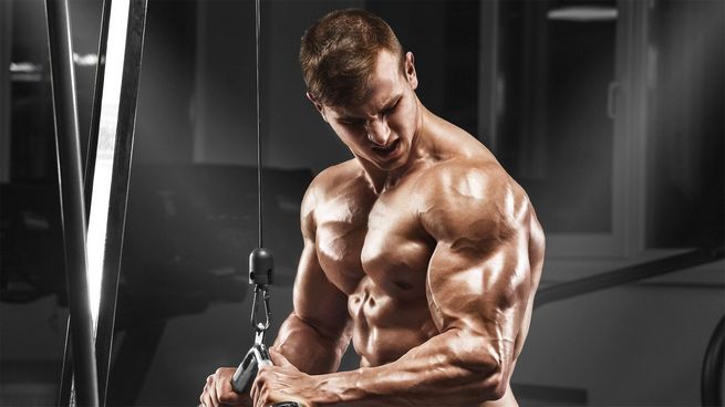 Steroids Pharmacological: Understanding Their Role in Medicine and Beyond